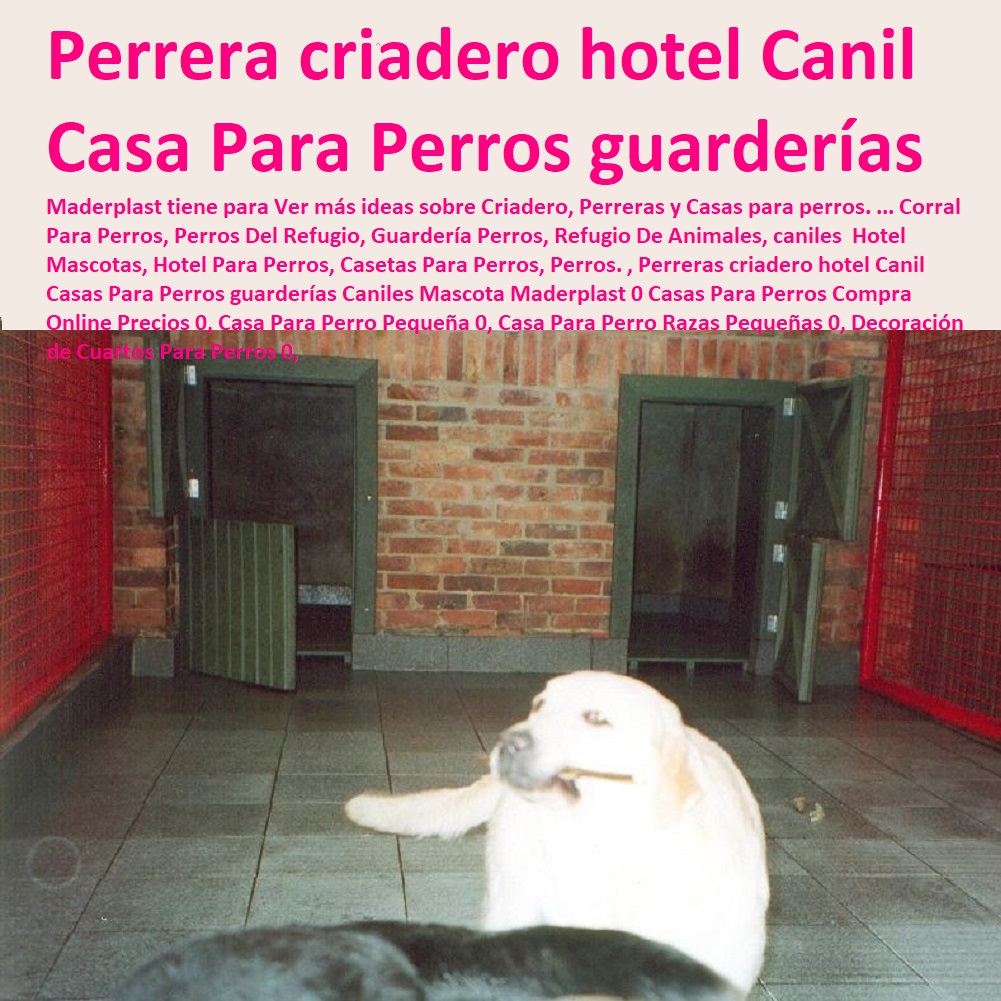 , Perreras criadero hotel Canil Casas Para Perros guarderías Caniles Mascota Maderplast 0 Casas Para Perros Compra Online Precios 0, Casa Para Perro Pequeña 0, Casa Para Perro Razas Pequeñas 0, Decoración de Cuartos Para Perros 0, , Perreras criadero hotel Canil Casas Para Perros guarderías Caniles Mascota Maderplast 0 Casas Para Perros Compra Online Precios 0, Casas Para Perros Y Mascotas, Agility De Perros, Pistas De Adiestramiento, Caninos Para Perros, Equipo De Agility Para Perros, Cunas Y Parideras Para Perros, Parques Para Perros, Corrales Para Perros, Jaulas cuidado de perros, Casa Para Perro Pequeña 0, Casa Para Perro Razas Pequeñas 0, Decoración de Cuartos Para Perros 0,